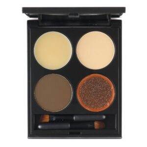TARA PERFECT EYEBROW KIT